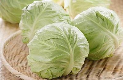 Cabbage - bắp cải