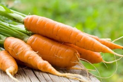 Carrot - cà rốt