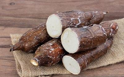 Cassava - khoai mì