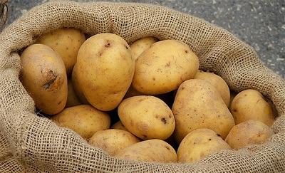 Potato - khoai tây