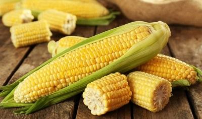 Corn - ngô (bắp)