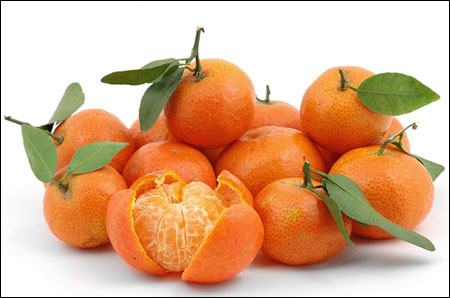 Mandarin- quýt