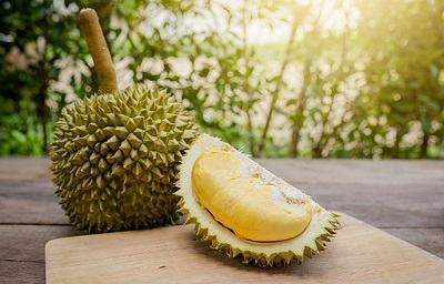 Durian- sầu riêng