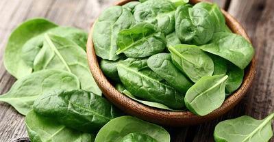 Spinach - rau chân vịt