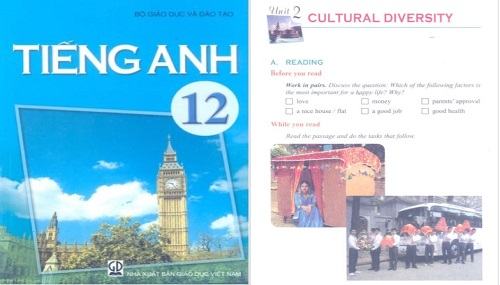 Tiếng Anh lớp 12 cơ bản Unit 2 - Cultural diversity