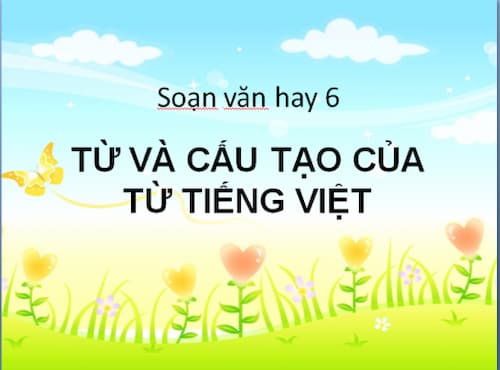Soạn văn Từ và cấu tạo của từ Tiếng Việt 